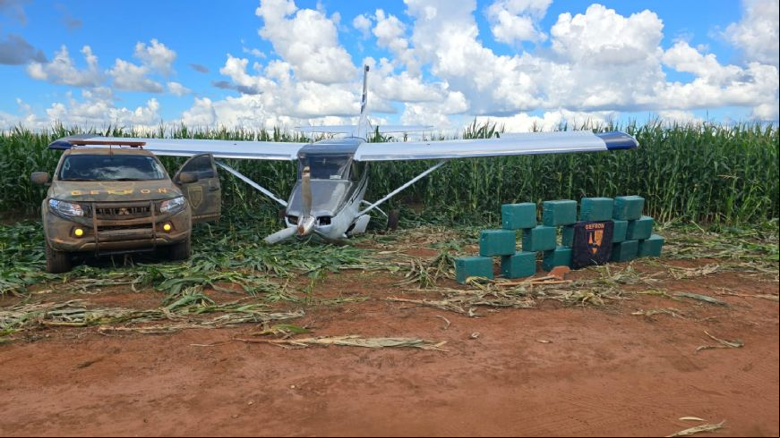 Mato Grosso 