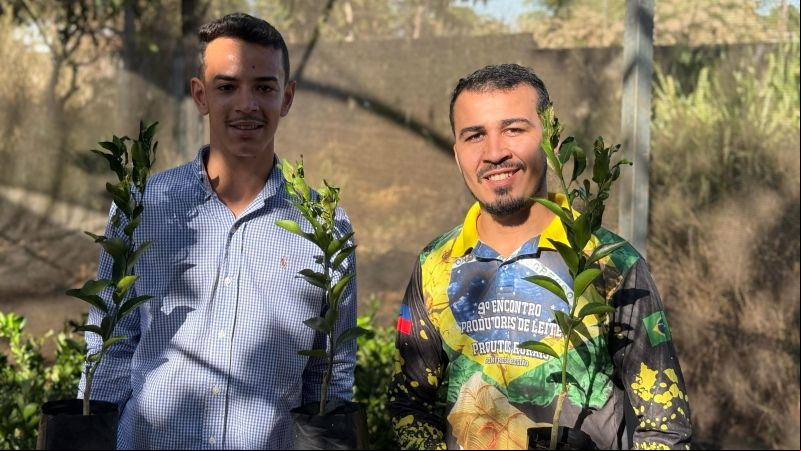 Confresa recebe 1500 mudas de ponkan e lim